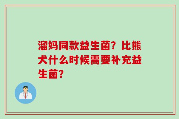 溜妈同款益生菌?比熊犬什么时候需要补充益生菌? 溜妈同款益生菌?比熊犬什么时候需要补充益生菌?