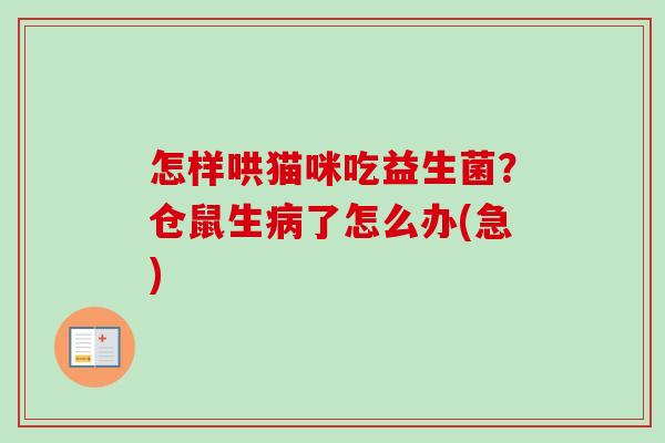 怎样哄猫咪吃益生菌?仓鼠生了怎么办(急) 怎样哄猫咪吃益生菌?仓鼠生了怎么办(急)