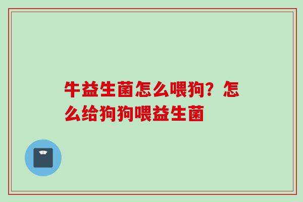 牛益生菌怎么喂狗？怎么给狗狗喂益生菌