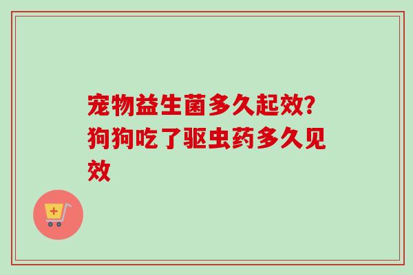 宠物益生菌多久起效？狗狗吃了驱虫药多久见效