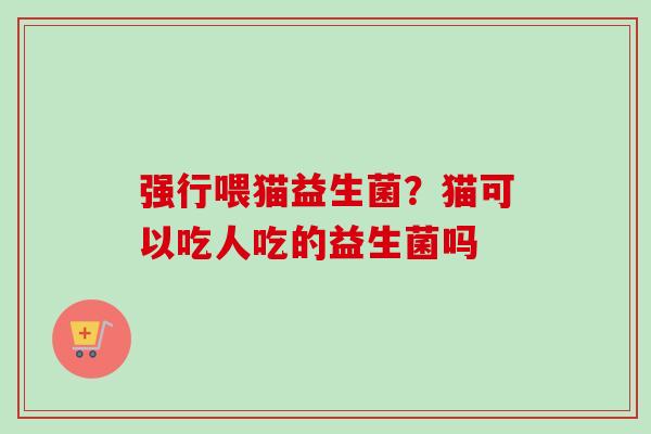 强行喂猫益生菌？猫可以吃人吃的益生菌吗