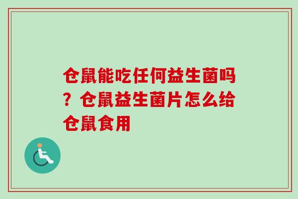 仓鼠能吃任何益生菌吗？仓鼠益生菌片怎么给仓鼠食用