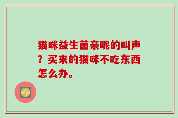 猫咪益生菌亲昵的叫声？买来的猫咪不吃东西怎么办。