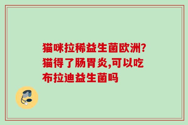 猫咪拉稀益生菌欧洲？猫得了肠,可以吃布拉迪益生菌吗