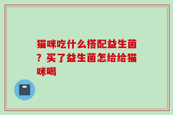 猫咪吃什么搭配益生菌？买了益生菌怎给给猫咪喝