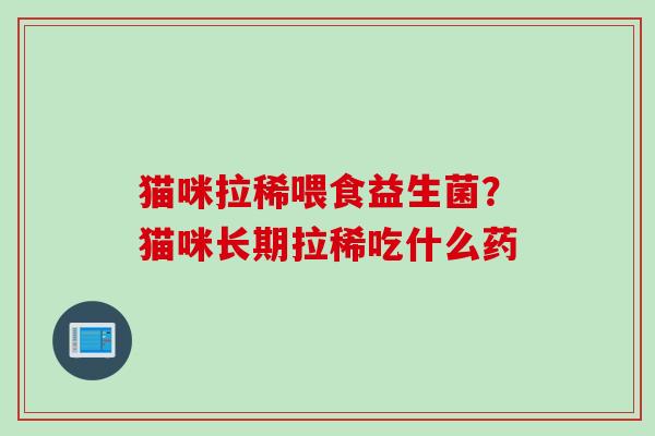 猫咪拉稀喂食益生菌？猫咪长期拉稀吃什么药