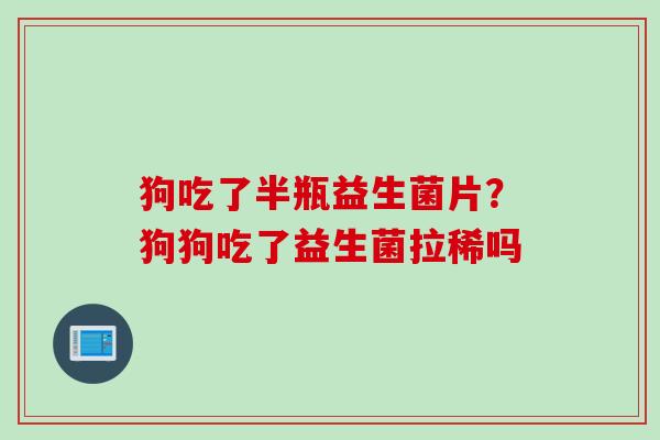 狗吃了半瓶益生菌片？狗狗吃了益生菌拉稀吗