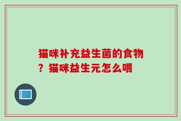 猫咪补充益生菌的食物？猫咪益生元怎么喂