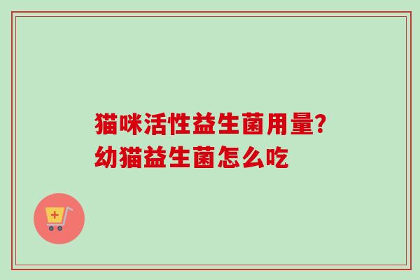 猫咪活性益生菌用量？幼猫益生菌怎么吃