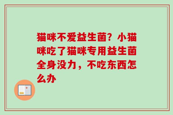 猫咪不爱益生菌？小猫咪吃了猫咪专用益生菌全身没力，不吃东西怎么办