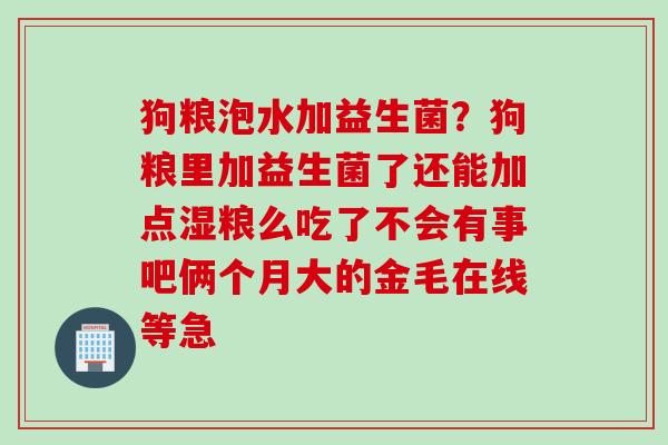狗粮泡水加益生菌？狗粮里加益生菌了还能加点湿粮么吃了不会有事吧俩个月大的金毛在线等急