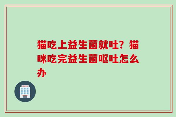 猫吃上益生菌就吐？猫咪吃完益生菌怎么办