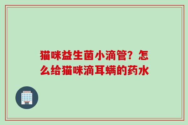 猫咪益生菌小滴管？怎么给猫咪滴耳螨的药水