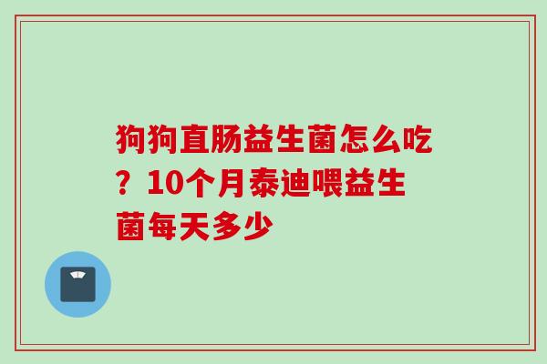 狗狗直肠益生菌怎么吃？10个月泰迪喂益生菌每天多少