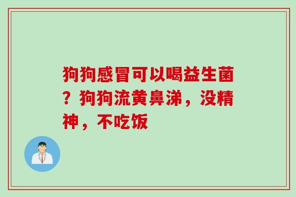 狗狗可以喝益生菌？狗狗流黄鼻涕，没精神，不吃饭