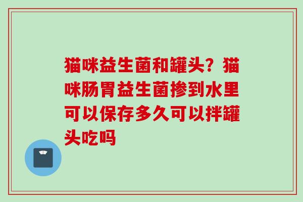 猫咪益生菌和罐头？猫咪肠胃益生菌掺到水里可以保存多久可以拌罐头吃吗