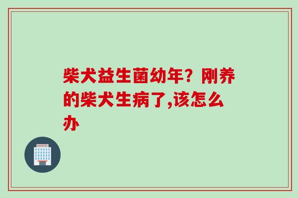 柴犬益生菌幼年？刚养的柴犬生了,该怎么办