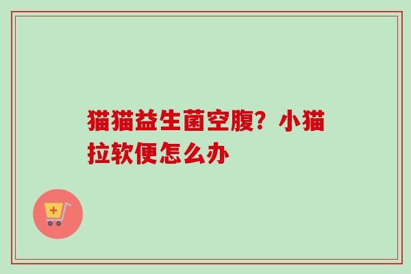 猫猫益生菌空腹？小猫拉软便怎么办