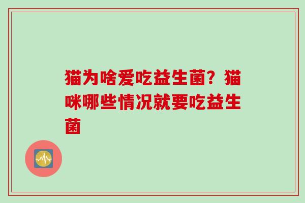 猫为啥爱吃益生菌？猫咪哪些情况就要吃益生菌
