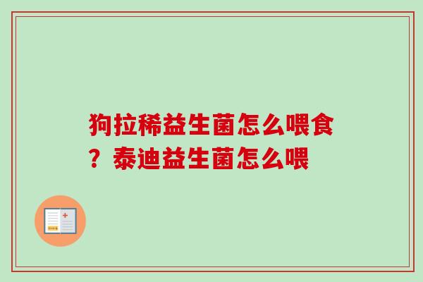 狗拉稀益生菌怎么喂食？泰迪益生菌怎么喂