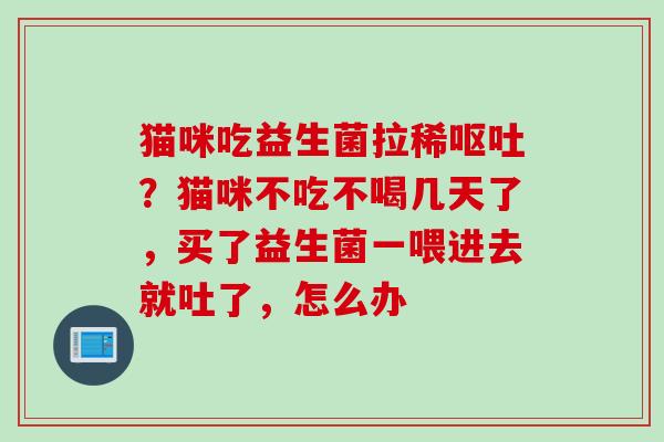 猫咪吃益生菌拉稀？猫咪不吃不喝几天了，买了益生菌一喂进去就吐了，怎么办