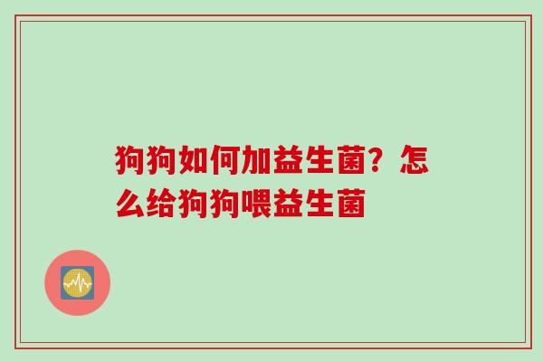 狗狗如何加益生菌？怎么给狗狗喂益生菌