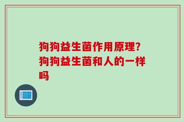 狗狗益生菌作用原理？狗狗益生菌和人的一样吗