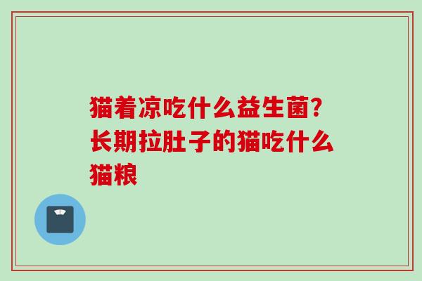猫着凉吃什么益生菌？长期拉肚子的猫吃什么猫粮