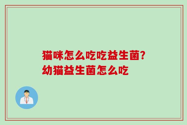 猫咪怎么吃吃益生菌？幼猫益生菌怎么吃