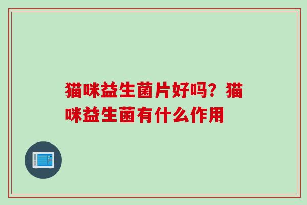 猫咪益生菌片好吗？猫咪益生菌有什么作用