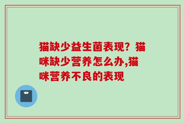 猫缺少益生菌表现？猫咪缺少营养怎么办,猫咪营养不良的表现