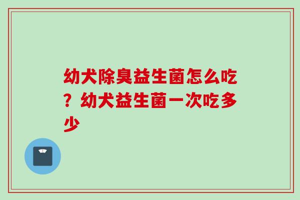 幼犬除臭益生菌怎么吃？幼犬益生菌一次吃多少