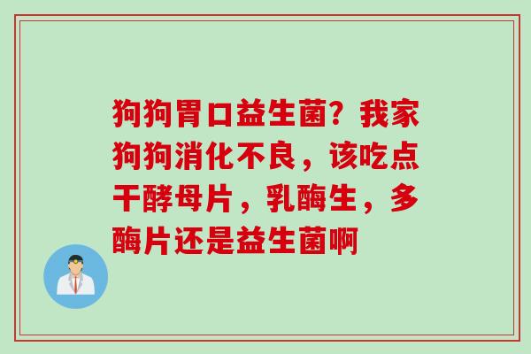 狗狗胃口益生菌？我家狗狗，该吃点干酵母片，乳酶生，多酶片还是益生菌啊