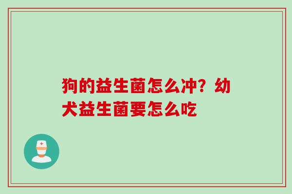 狗的益生菌怎么冲？幼犬益生菌要怎么吃