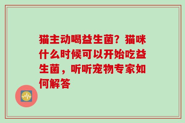 猫主动喝益生菌？猫咪什么时候可以开始吃益生菌，听听宠物专家如何解答