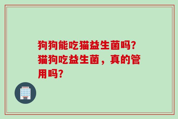 狗狗能吃猫益生菌吗？猫狗吃益生菌，真的管用吗？