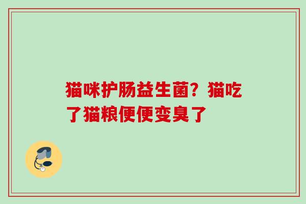猫咪护肠益生菌？猫吃了猫粮便便变臭了