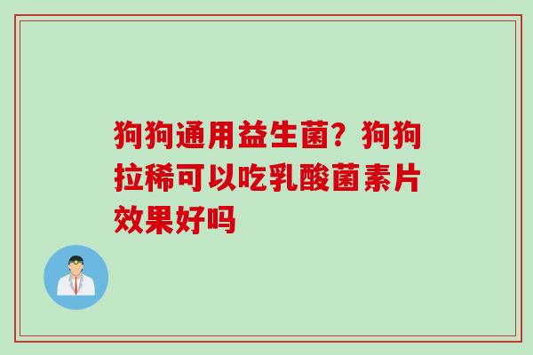 狗狗通用益生菌？狗狗拉稀可以吃乳酸菌素片效果好吗