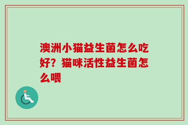 澳洲小猫益生菌怎么吃好？猫咪活性益生菌怎么喂