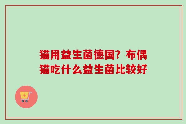 猫用益生菌德国？布偶猫吃什么益生菌比较好