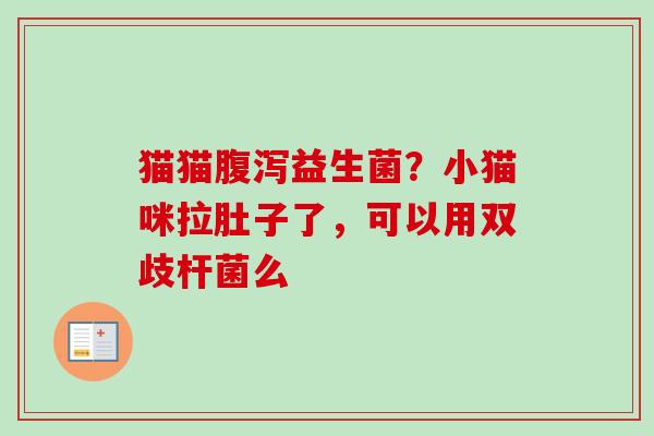 猫猫益生菌？小猫咪拉肚子了，可以用双歧杆菌么