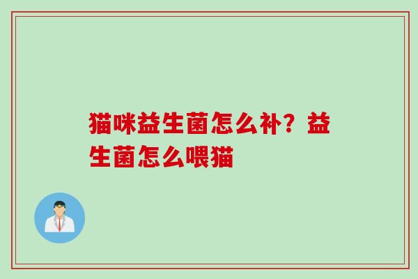 猫咪益生菌怎么补？益生菌怎么喂猫