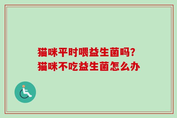 猫咪平时喂益生菌吗？猫咪不吃益生菌怎么办
