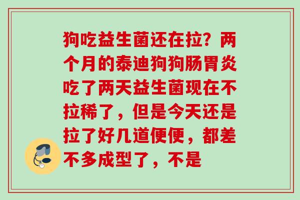 狗吃益生菌还在拉？两个月的泰迪狗狗肠吃了两天益生菌现在不拉稀了，但是今天还是拉了好几道便便，都差不多成型了，不是