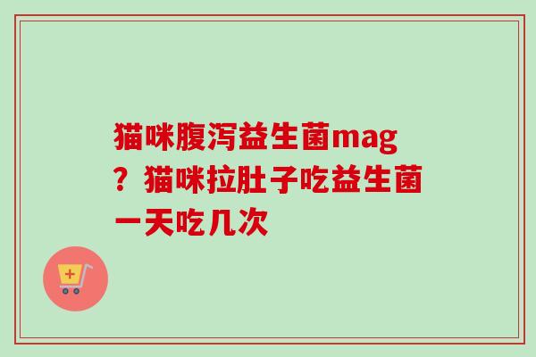 猫咪益生菌mag？猫咪拉肚子吃益生菌一天吃几次