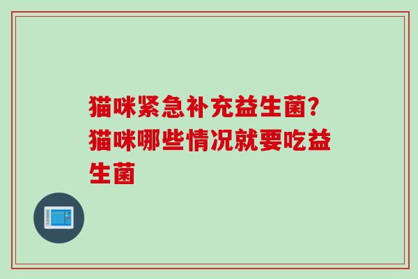 猫咪紧急补充益生菌？猫咪哪些情况就要吃益生菌