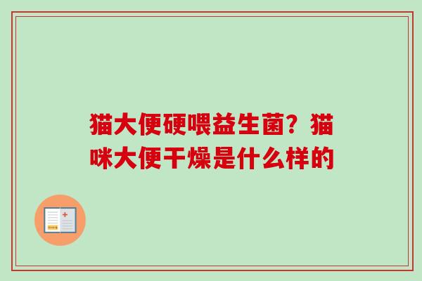 猫大便硬喂益生菌？猫咪大便干燥是什么样的