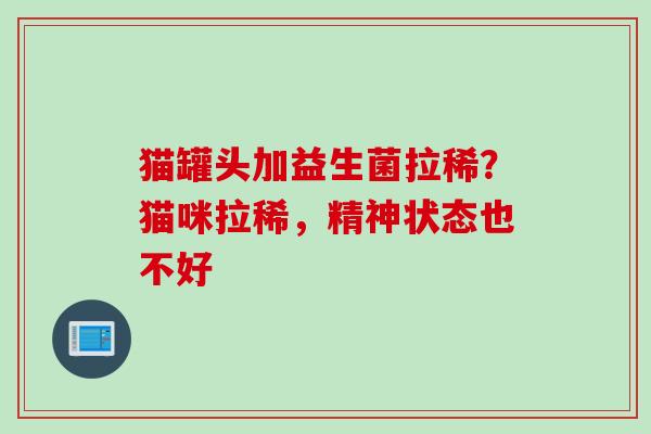 猫罐头加益生菌拉稀？猫咪拉稀，精神状态也不好