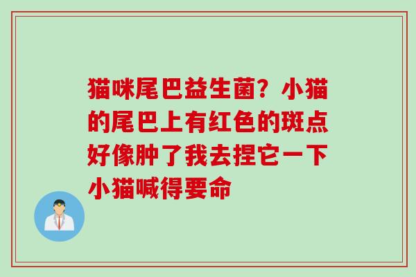 猫咪尾巴益生菌？小猫的尾巴上有红色的斑点好像肿了我去捏它一下小猫喊得要命