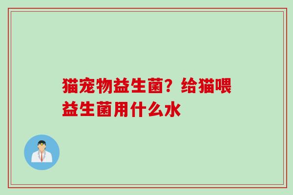 猫宠物益生菌？给猫喂益生菌用什么水